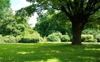Designing a Rustic Garden: Inspiration from Trinity Bell Gardens